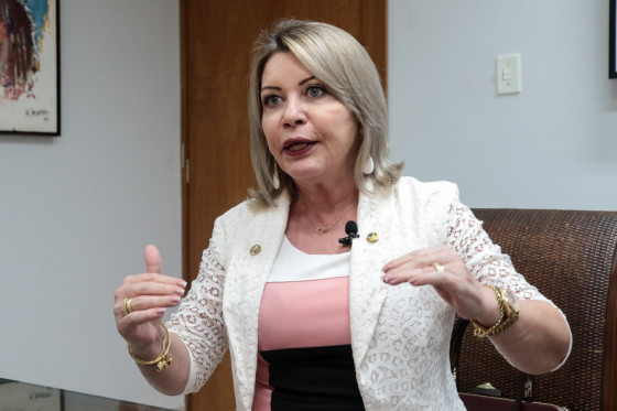 Selma articulação