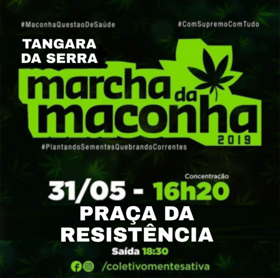 Maconha Tangará da Serra resis.jpeg
