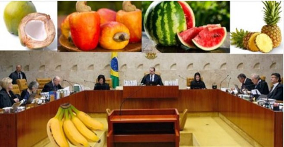 STF frutas 2.JPG