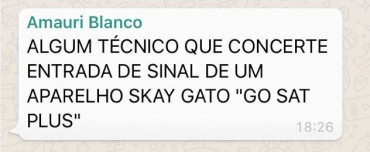 Blanco Gato.JPG