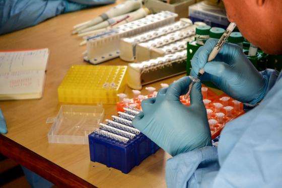 Lacen atingiu a média de 4.454 testes aplicados para cada 100 mil habitantes