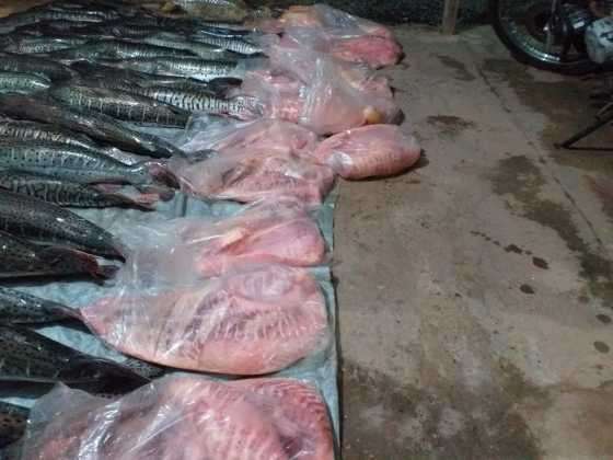 Peixe 4.jpeg
