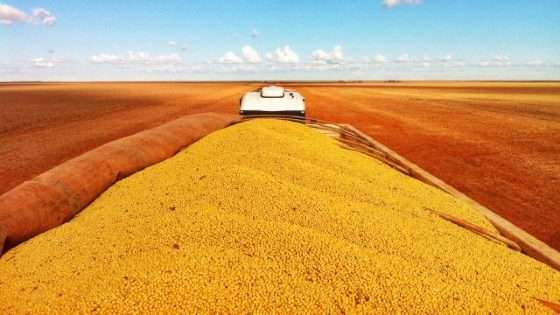 caminhao-de-soja-na-lavoura-640x360.jpg