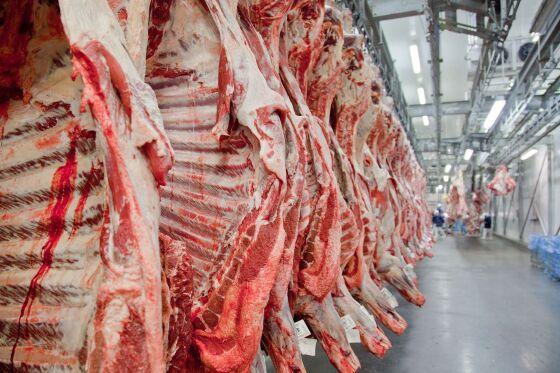 CARNE.jpg