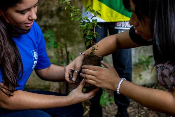 EDUCAÇÃO AMBIENTAL.jpg