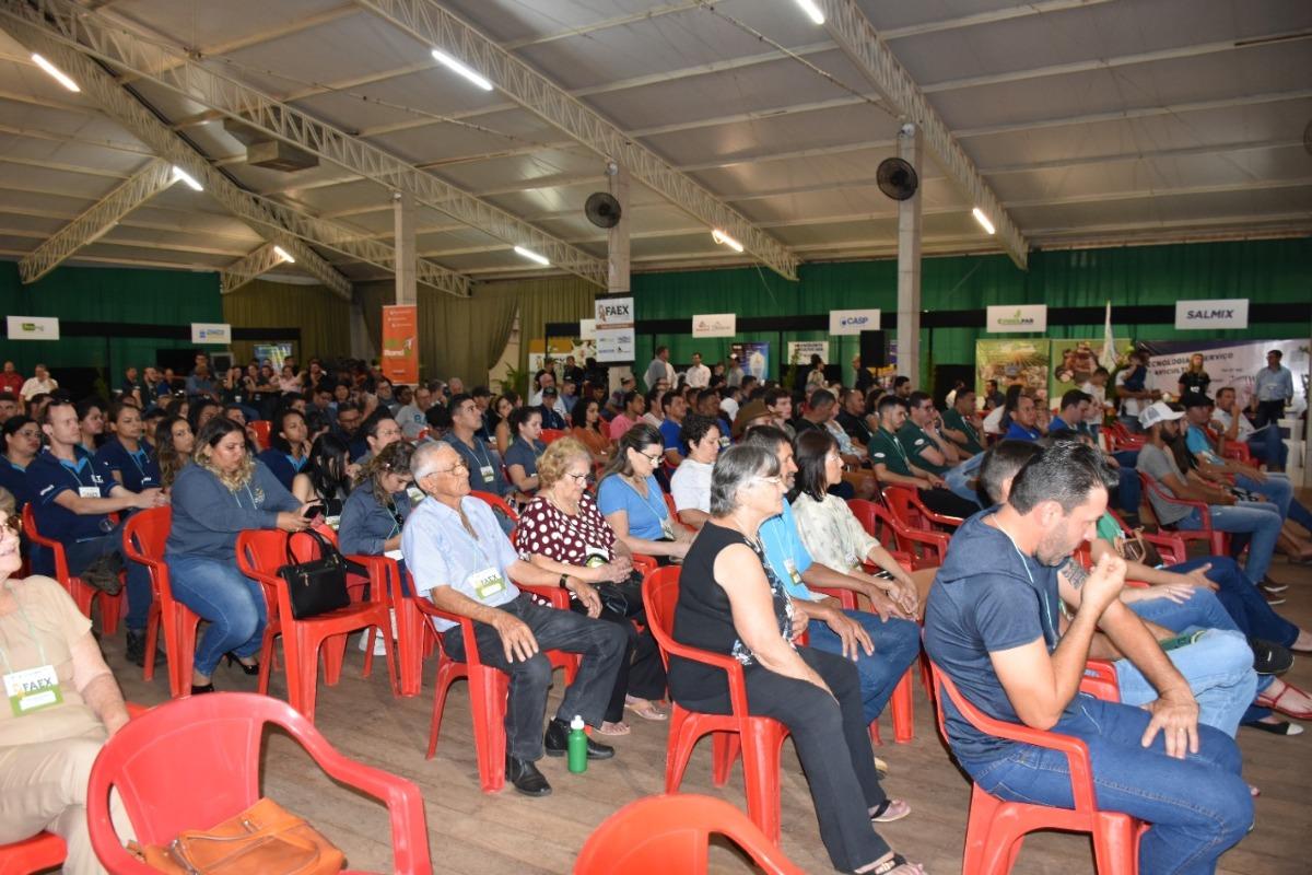 feira 1.jpg