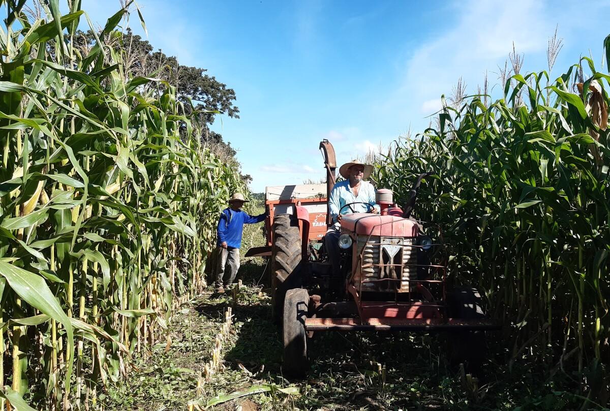 agricultura familiar 1.jpg