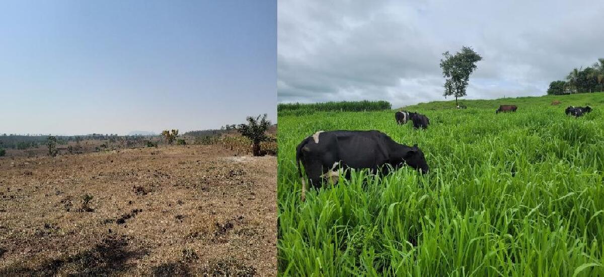 agricultura familiar.jpg