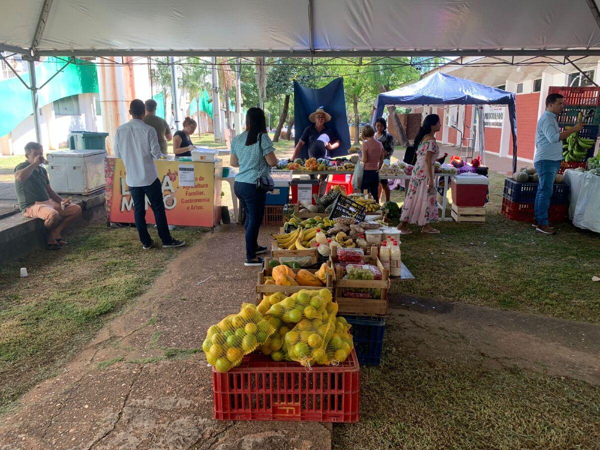 feira vg 1.jpeg