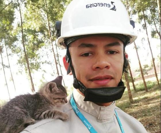 gatinho.png