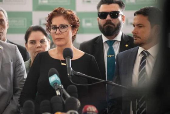Fernanda federal.png