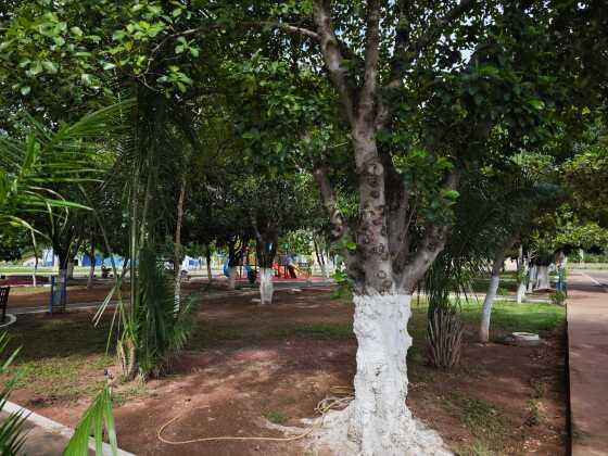 NX PRAÇA.jpeg