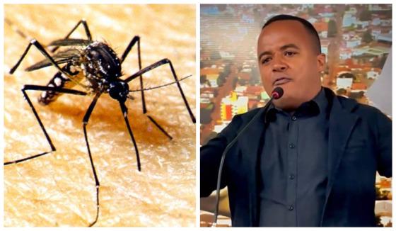 HORÁCIO MOSQUITO DA DENGUE.JPG