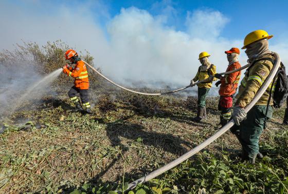 Combate à incêndios no Pantanal-106.jpg