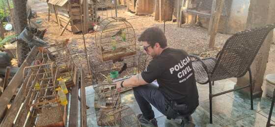 pc civiil OPERAÇÃO SANSÃO.jpeg