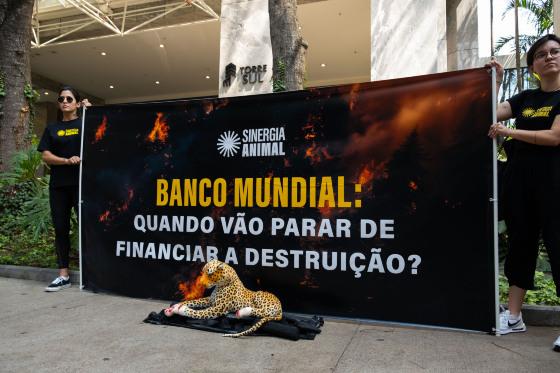 BANCO MUNDIAL 1.jpg