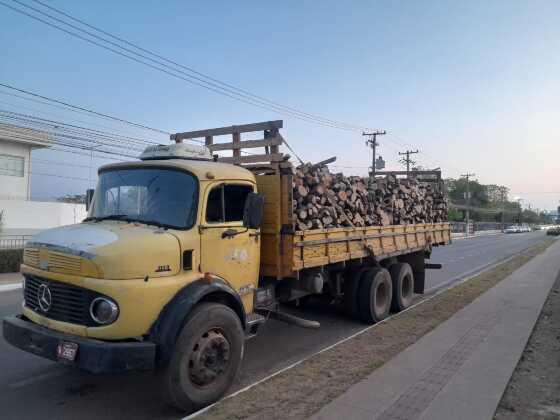 CRIME AMBIENTAL.jpeg