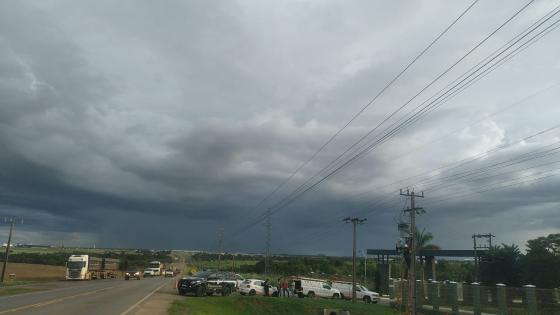 algodoeira.png