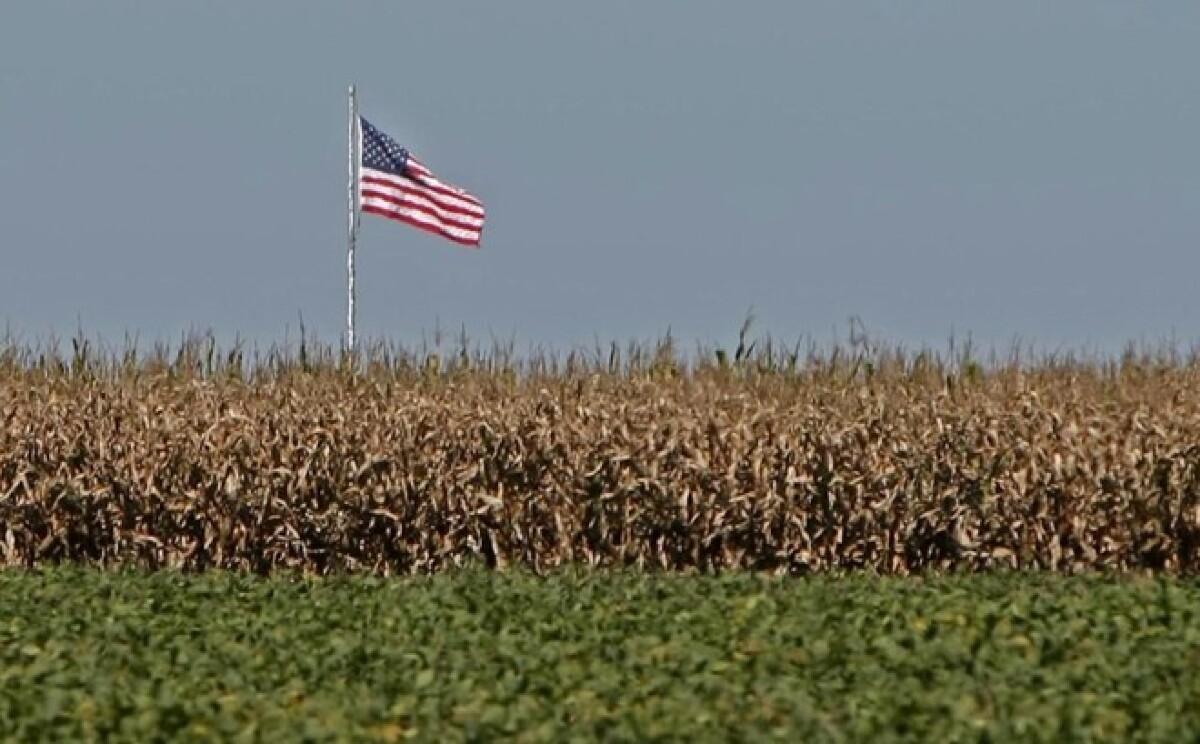 agricultores americanos.jpg