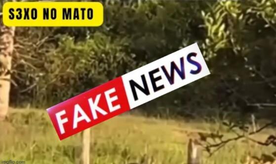 FAKE NEWS 2.jpg