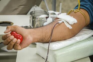 Doe sangue, doe vida!