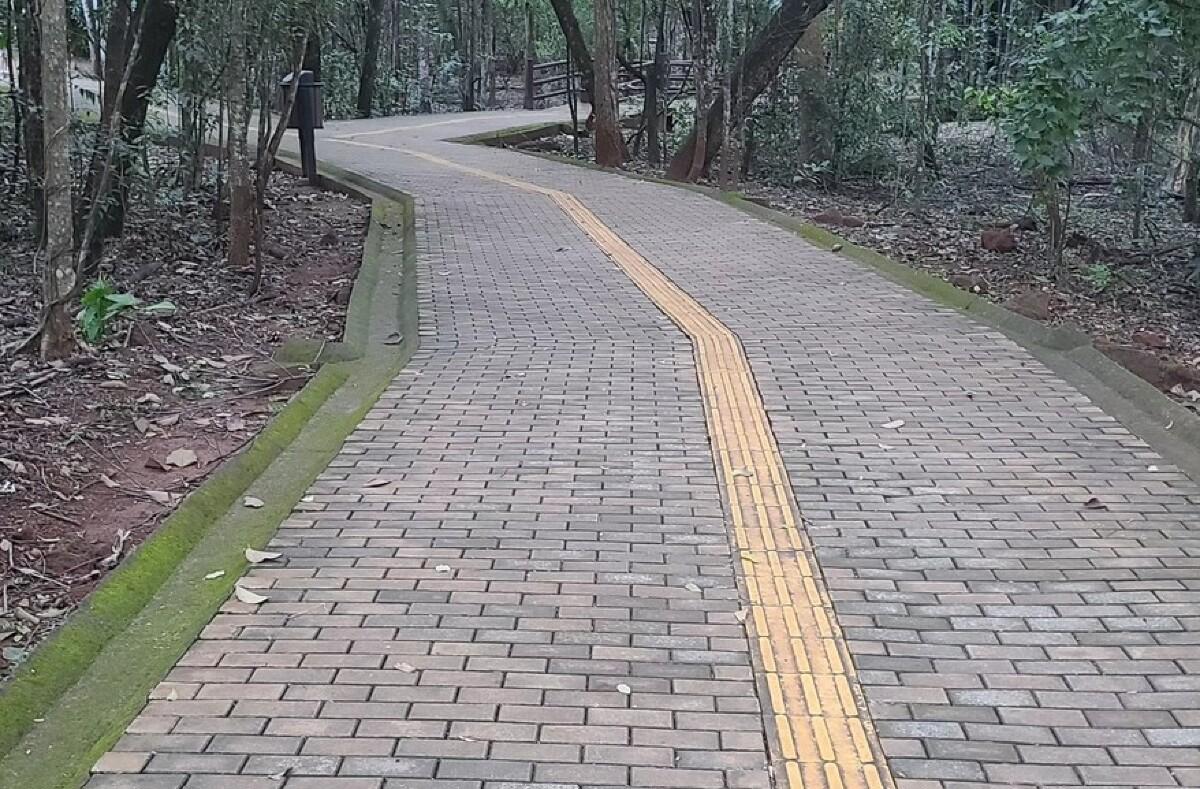 Bosque Municipal TGA.jpg