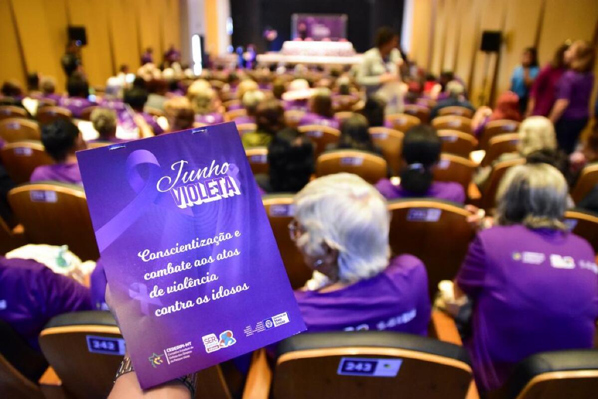 junho violeta.jpg