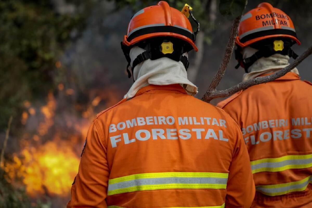 FOGO PROIBIDO.jpg