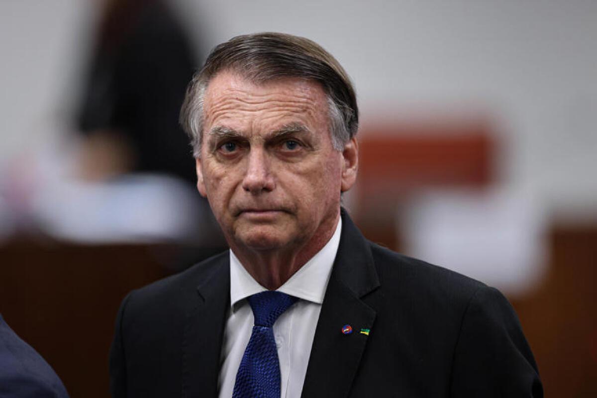 BOZO SAÚDE.jpeg