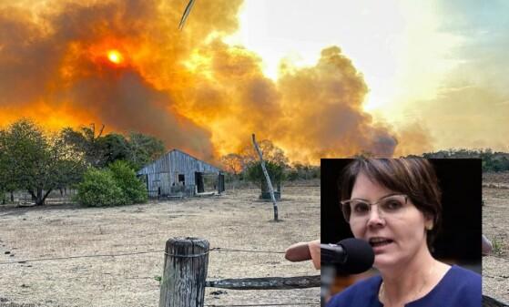fernanda meio ambiente.jpg