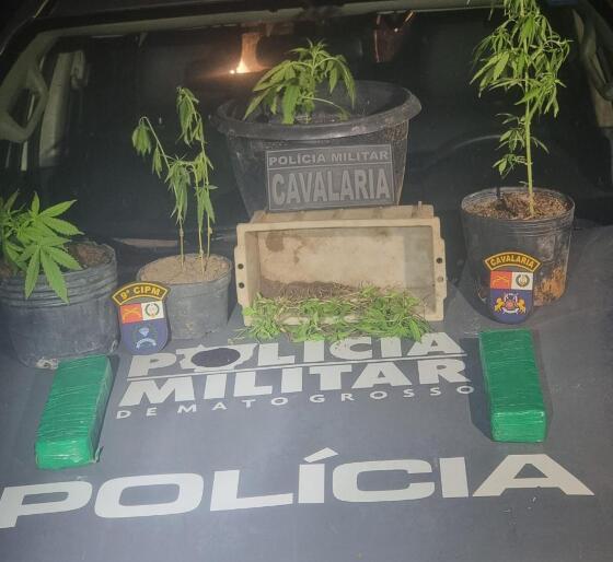 pmmt trafico pes de maconha.jpg